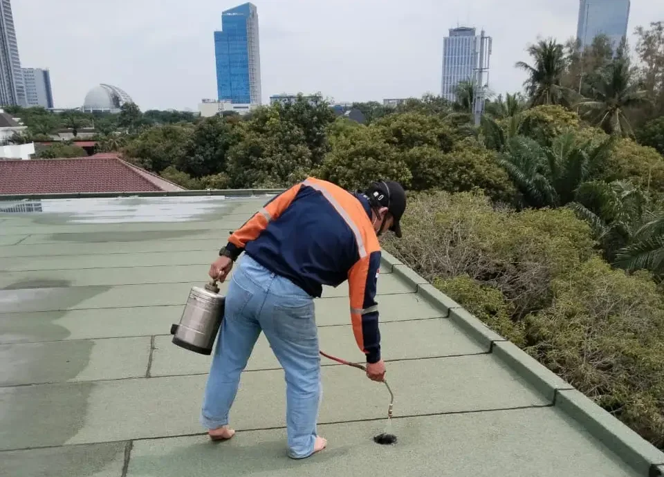 Jasa pengendalian Hama murah - rafa pest solution